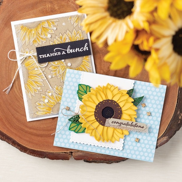 Fall autumn Celebrate Sunflowers Stampin Up floral feminine cards bundle Flowers for Every Season 